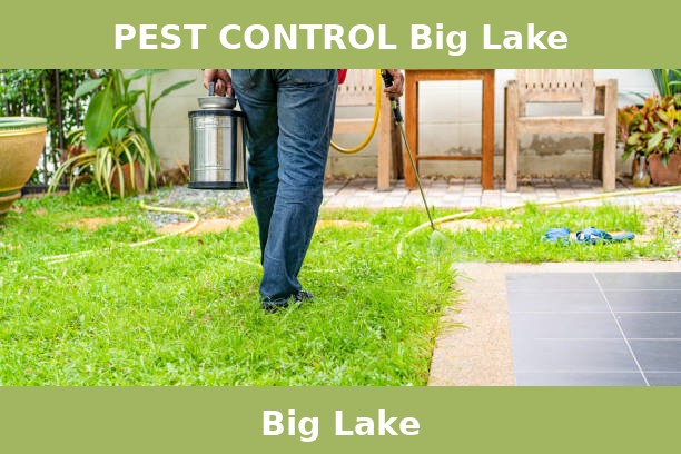 PEST CONTROL Big Lake